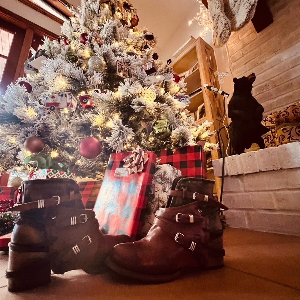 Freebird Crue Ankle Booties leather! Copper Multi 🧡🤎
